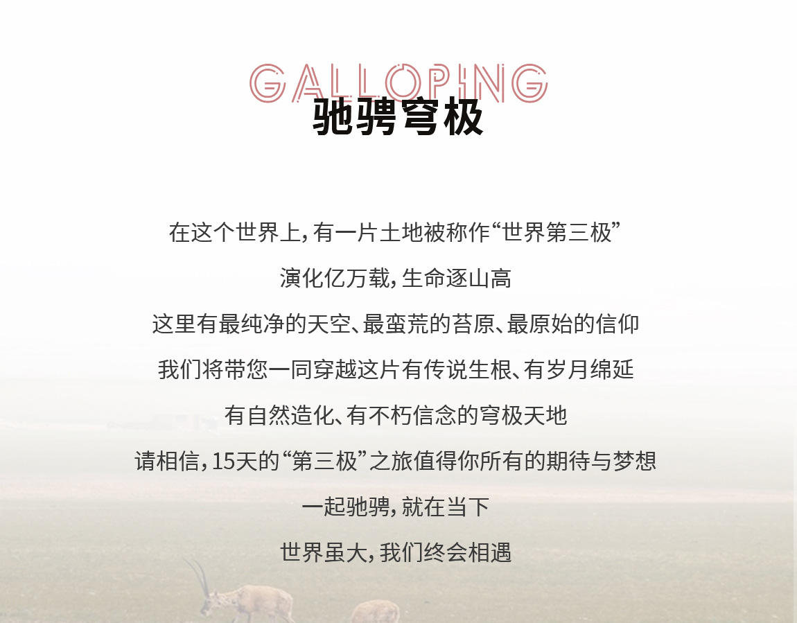 2025版挑战第三极-详情页_02